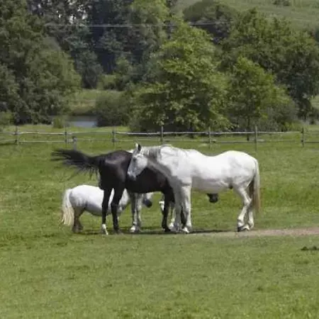 营地 3 Etoiles - Piscine - Eebbii 莫迪苏尚特