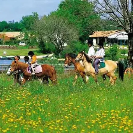 3 Etoiles - Piscine - Eebbii