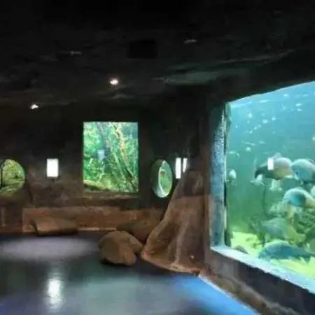 3 Etoiles - Piscine - Eebbii