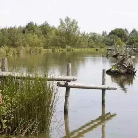 3 Etoiles - Piscine - Eebbii *