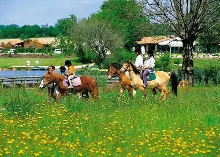 3 étoiles - Piscine - Eebbii