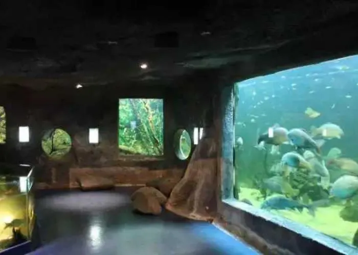 3 étoiles - Piscine - Eebbii